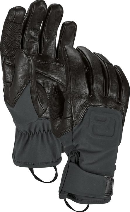 Image du produit Ortovox Gant Alpine Pro (XS)
