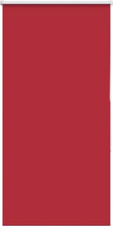 Rot