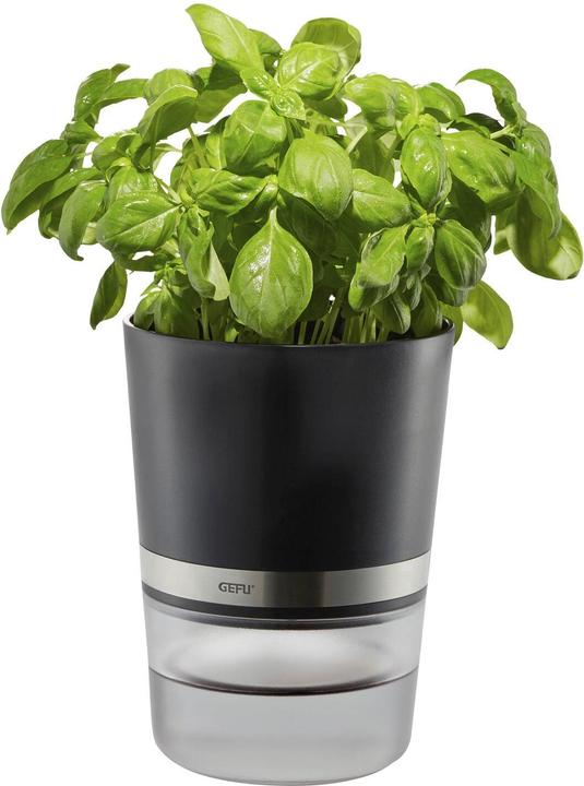 Immagine prodotto GEFU Botanico (14.20 cm)