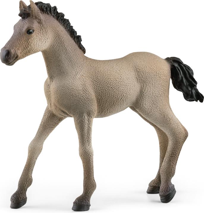 Produktbild Schleich Criollo Definitivo Fohlen