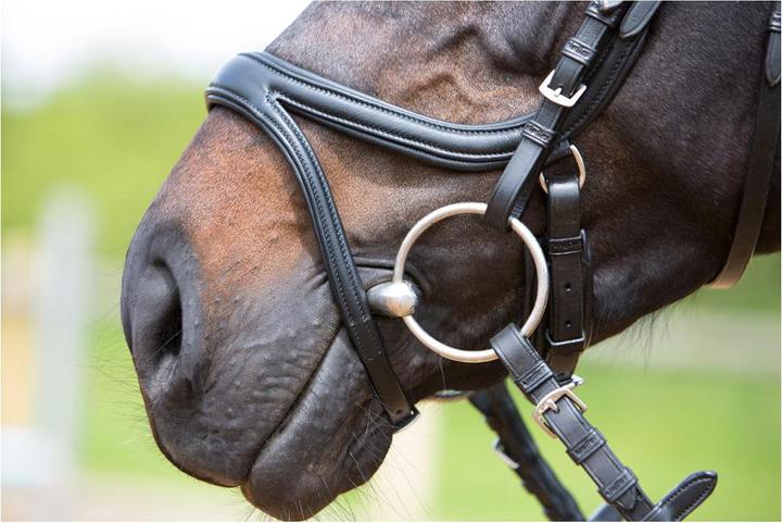 Image du produit Kieffer Bridon à snaffle Ultrasoft Tara en cuir
