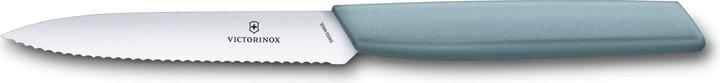 Actual product image Victorinox Paring knife (10 cm)