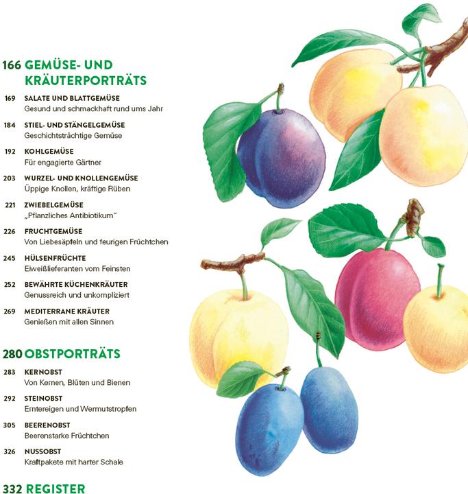 Immagine prodotto Das grosse Gemüse- und Obstgartenbuch (Tedesco, Gioacchino Mayer, 2025)