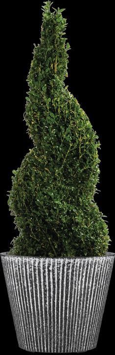 Actual product image Scheurich Purista+ 30, Planter/Pot, Round, Colour: White Line, Made with Recycled (29.80 cm)