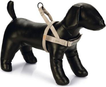 Actual product image Beeztees Bz Prem Geschr Parinca Hgr 32- (32, 33, 34, 35, 36, 37, 38, 39, 40, 41, 42, Dog, General)