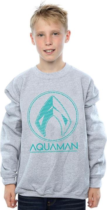 Image du produit Sweatshirt Aquaman Aqua Logo Garçons (152, 158)