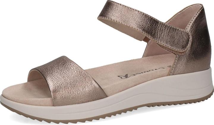 Taupe métallique 341