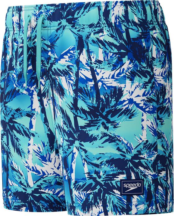 Image du produit Speedo Digi Printed 13" Watershort (L)