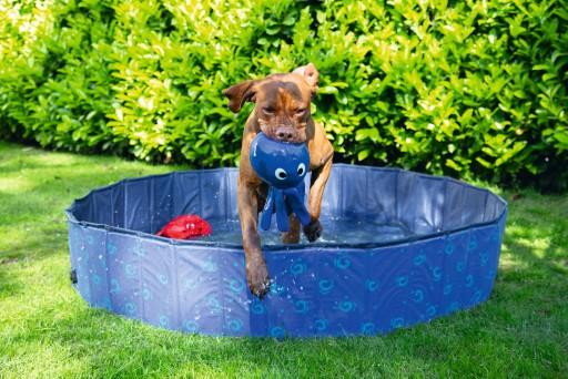 Produktbild Beeztees Hundepool (Hundepool)