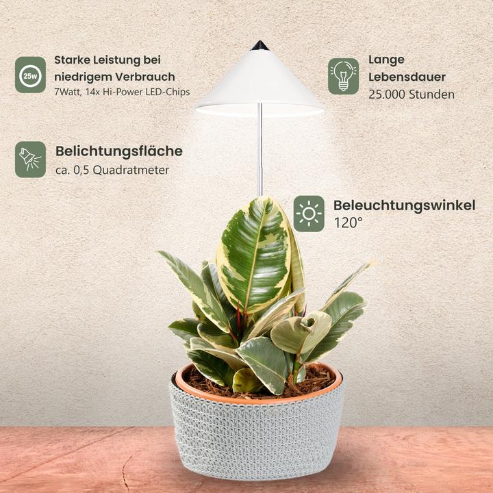 Actual product image Colibri SUNLiTE white (LED, 230 V)