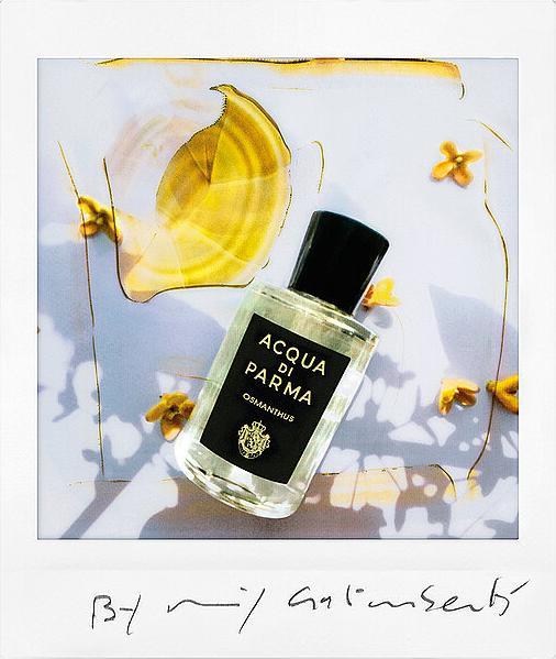 Immagine prodotto Acqua Di Parma Osmanthus Eau de Parfum (Eau de parfum, 180 ml)