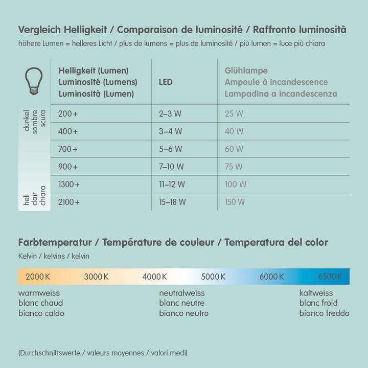 Image du produit Philips Hue Philips Globe G93 Filament (E27, 7 W, 550 lm, 1 x, G)
