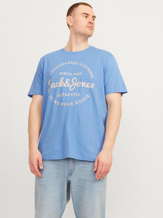 Actual product image Jack & Jones Jjforest Tee Ss Crew Neck 5pk Mp Pls (3XL)