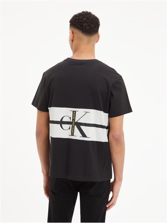 Actual product image Calvin Klein Jeans Stripe Colorblock T-Shirt - 102733 (M)