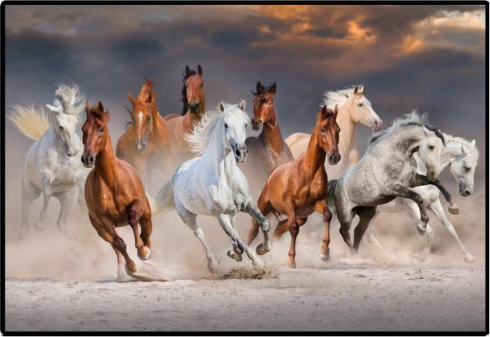 Image du produit Styro Sous-main PP 50x34 chevaux (50 x 34 cm)
