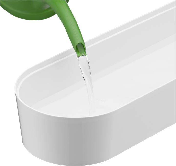 Immagine prodotto WMF Giardinetto di erbe aromatiche (14 cm)