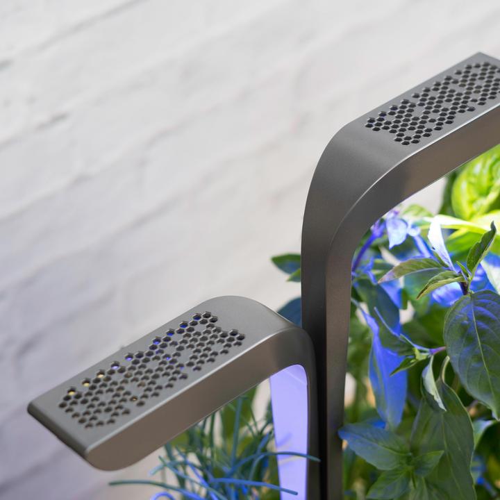 Produktbild Véritable Connect Indoor Garden (18 cm)