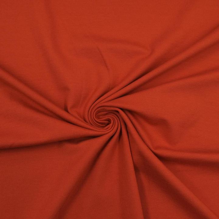 Image du produit Stoffrestposten Jersey de coton - Orange rouille - vente minimale : 1 mètre
