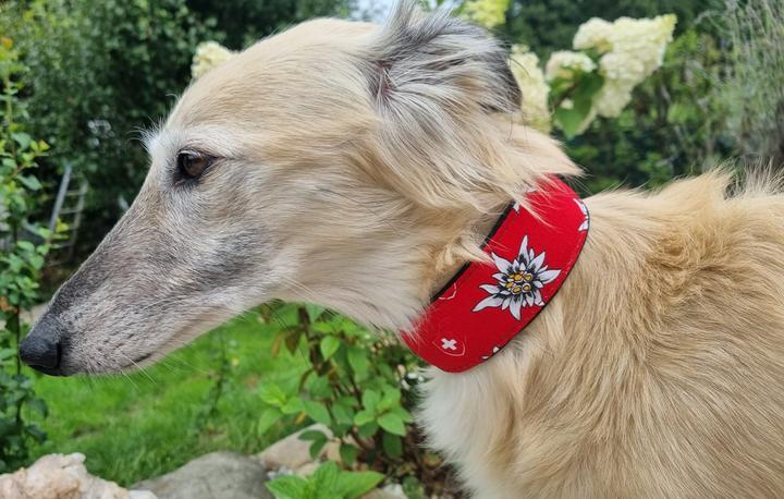 Produktbild Stoffrestposten Baumwolle - Edelweiss und Schweizer Wappen auf Rot