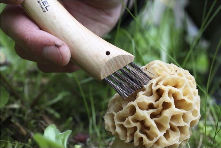 Produktbild Opinel Pilzmesser (8 cm)