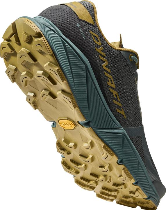 Produktbild Dynafit Ultra 100 GTX Laufschuh (45)
