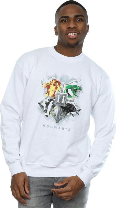 Actual product image Mens Hogwarts Painted Crest Sweatshirt (L)