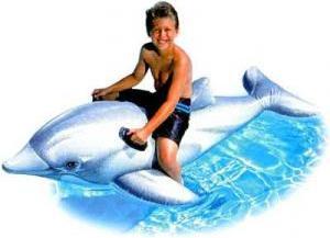 Actual product image Intex Lil' Dolphin Ride-On