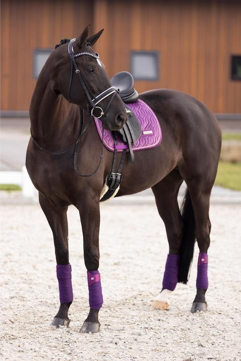 Image du produit Imperial Riding Lovely