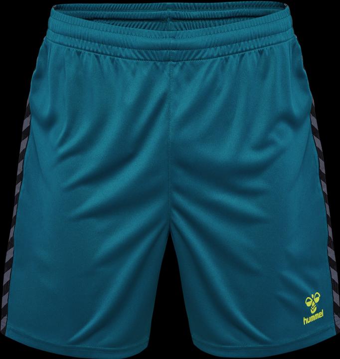 Image du produit hummel Hmlauthentic Pl Shorts (L)