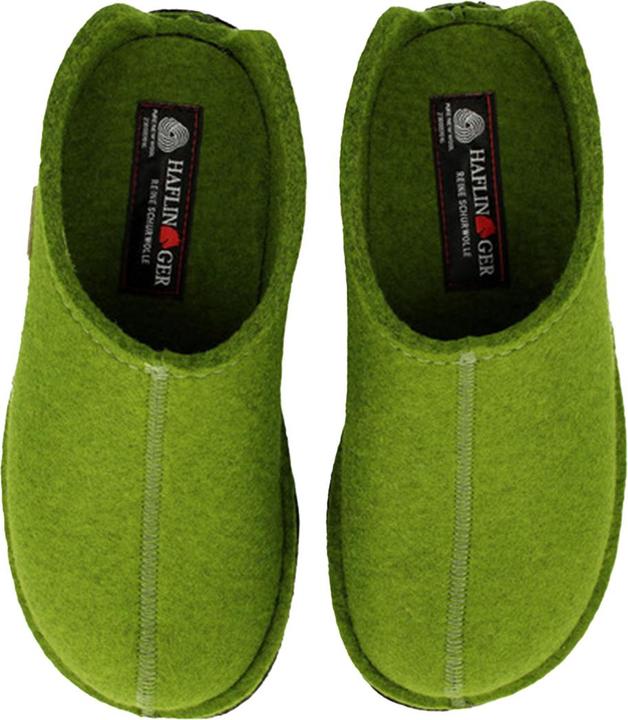 Actual product image Haflinger slippers (45)