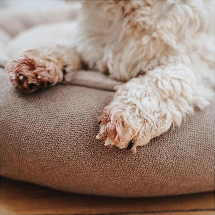 Immagine prodotto Hunter Ciambella per cani Rockford (Cane)