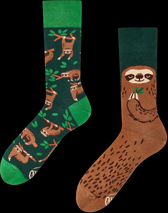 Many Mornings Sloth Life