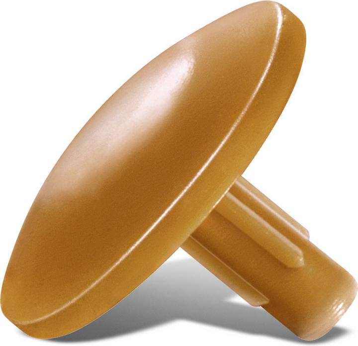 Actual product image Spax Cap R 89013 head bore fawn plastic