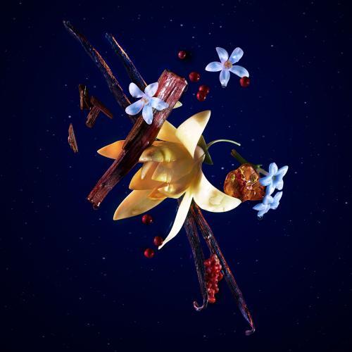 Actual product image Thierry Mugler Angel Elixir Eau de Parfum Eco refill (Eau de parfum, 100 ml)
