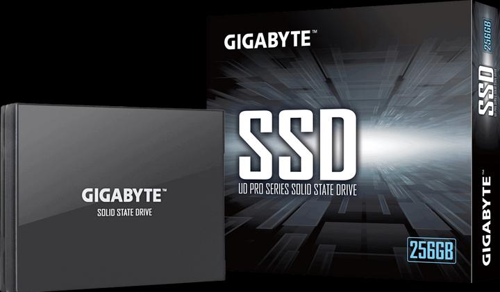 Image du produit Gigabyte GP-GSTFS30256GTTD (256 Go, 2.5")