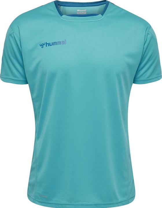 Actual product image hummel Authentic Poly Jersey S/S (L)