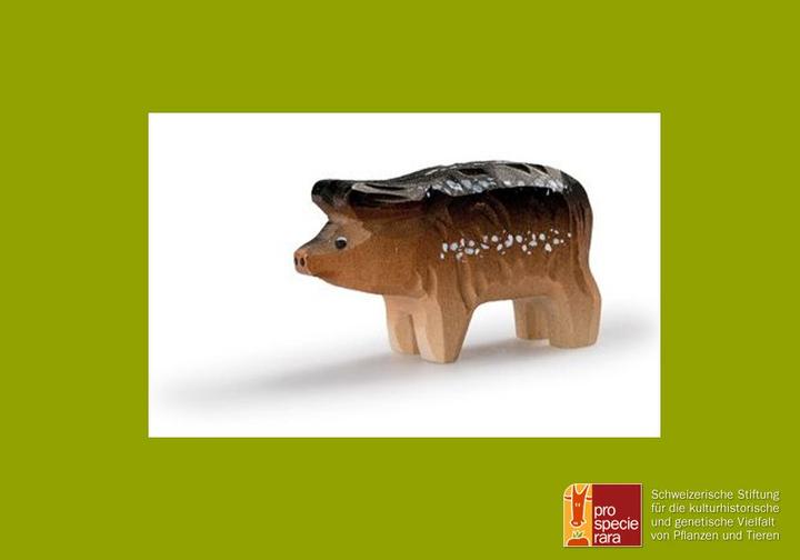 Image du produit Trauffer Porc laineux Porcelet