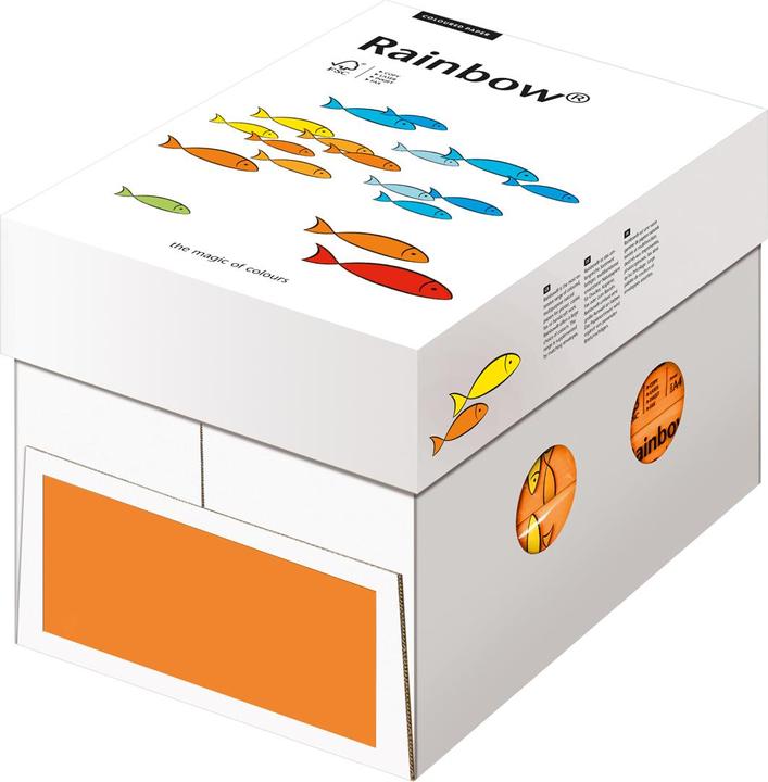 Actual product image Rainbow Copy paper coloured A4 (80 g/m², 500 x, A4)