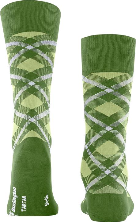 Immagine prodotto Burlington Tartan SO (40 - 46)