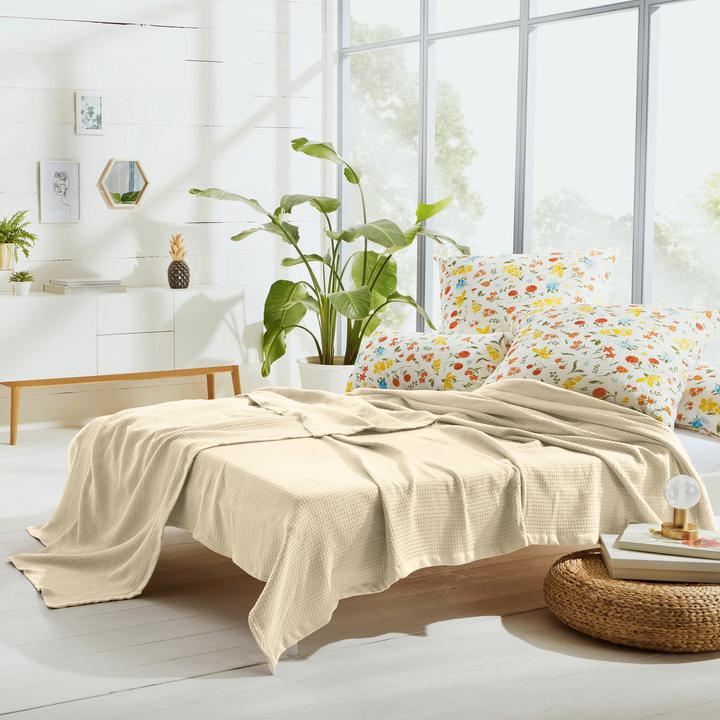 Actual product image Erwin Müller Summer blanket (220 x 240 cm)