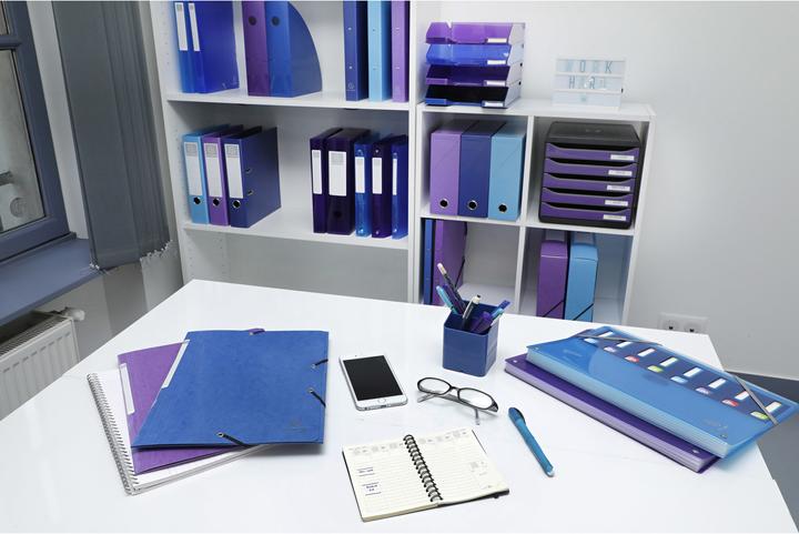Actual product image Exacompta Ring binders (A4, 20 mm, 360 Piece)