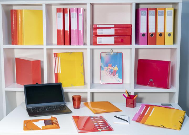 Actual product image Exacompta Ring binders (A4, 20 mm, 1 Piece)