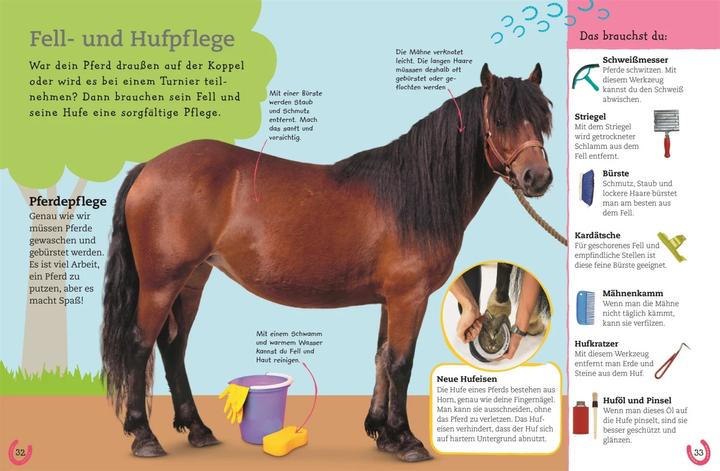 Immagine prodotto Pferde und Ponys (Tedesco, DK Verlag - Bambini, 2019)