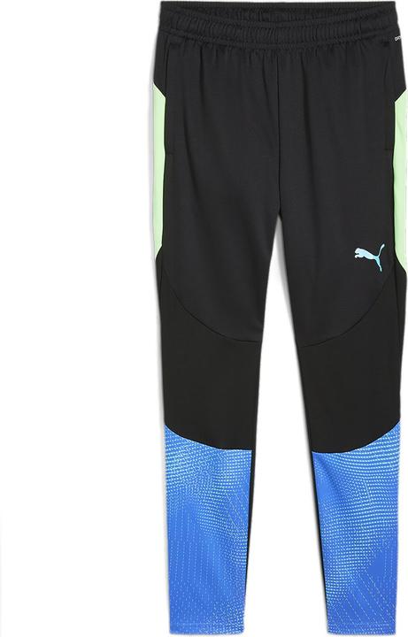 Puma individualFINAL Training Pants (L)