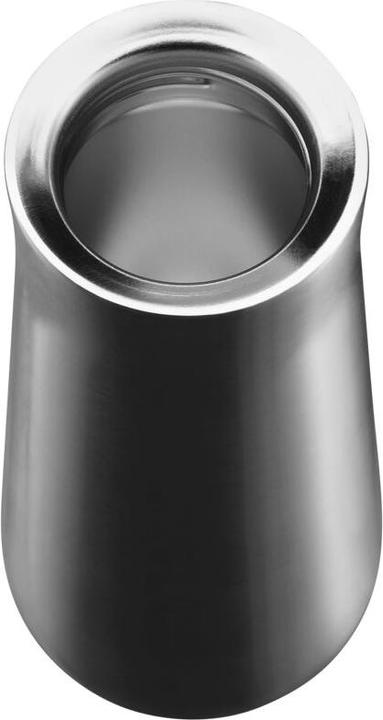 Actual product image WMF Impulse (0.35 l)
