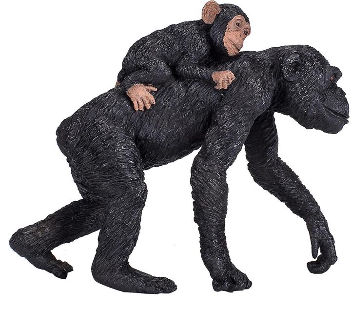 Actual product image small foot Chimpanzee baby