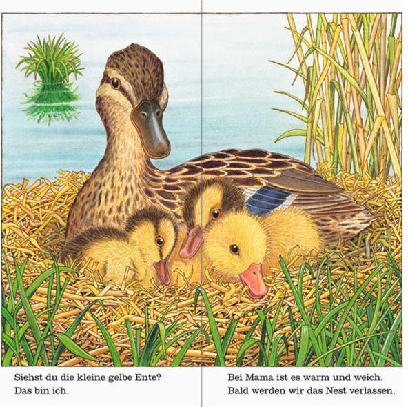 Produktbild Ravensburger Ich bin die kleine Ente (Deutsch, Helmut Spanner, 2016)