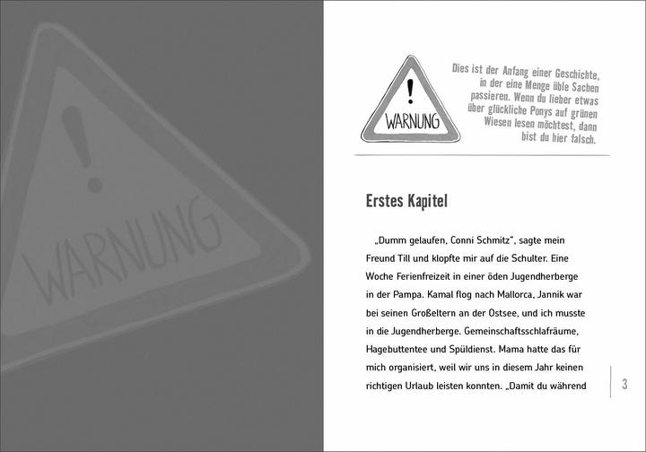 Actual product image Wie ich in den Sommerferien aus der Geisterbahn fiel und eine Elektrikerin entführte (German, Lienesch, Andrea, 2021)