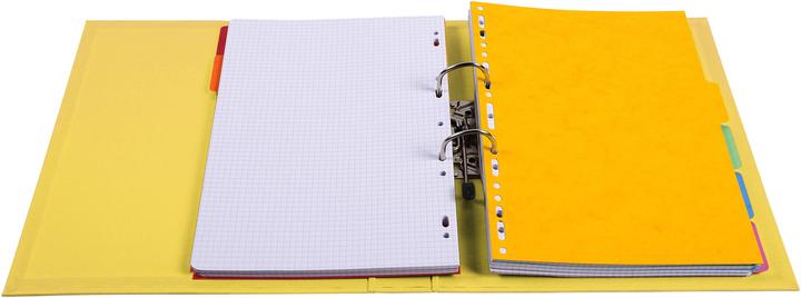 Immagine prodotto Exacompta Ordner (A4, 50 mm, 1 Pezzo/i)