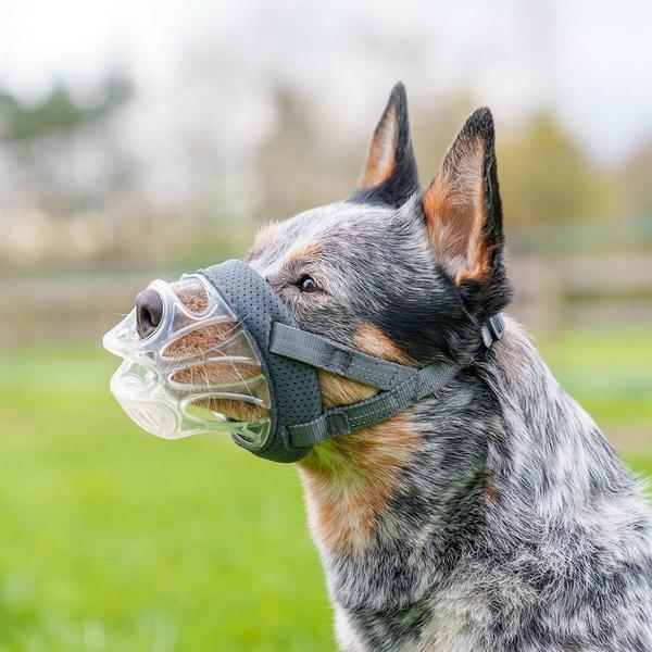 Immagine prodotto Baskerville Muselière INVISA (4, Cane)
